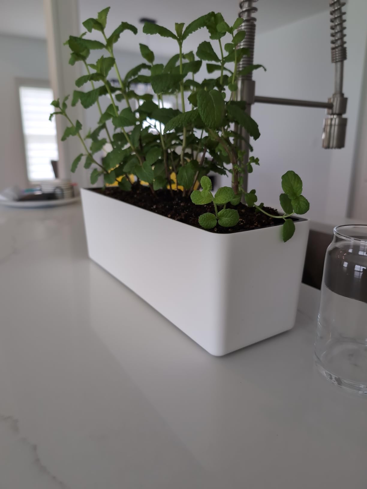 Elongated Self Watering Planter Pots Window Box 5.5 x 16 inch Indoor Home Garden Modern Decorative Planter Pot for All House Plants Flowers Herbs (White,1-Pack) customer photo 2