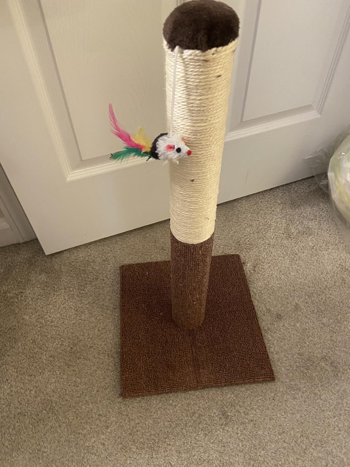 17-Inch Cat Scratching Post - Sisal Rope and Carpet Scratching Pole with Bright Pink Hanging Ball Toy for Adult Cats and Kittens by PETMAKER (Gray) customer photo 1