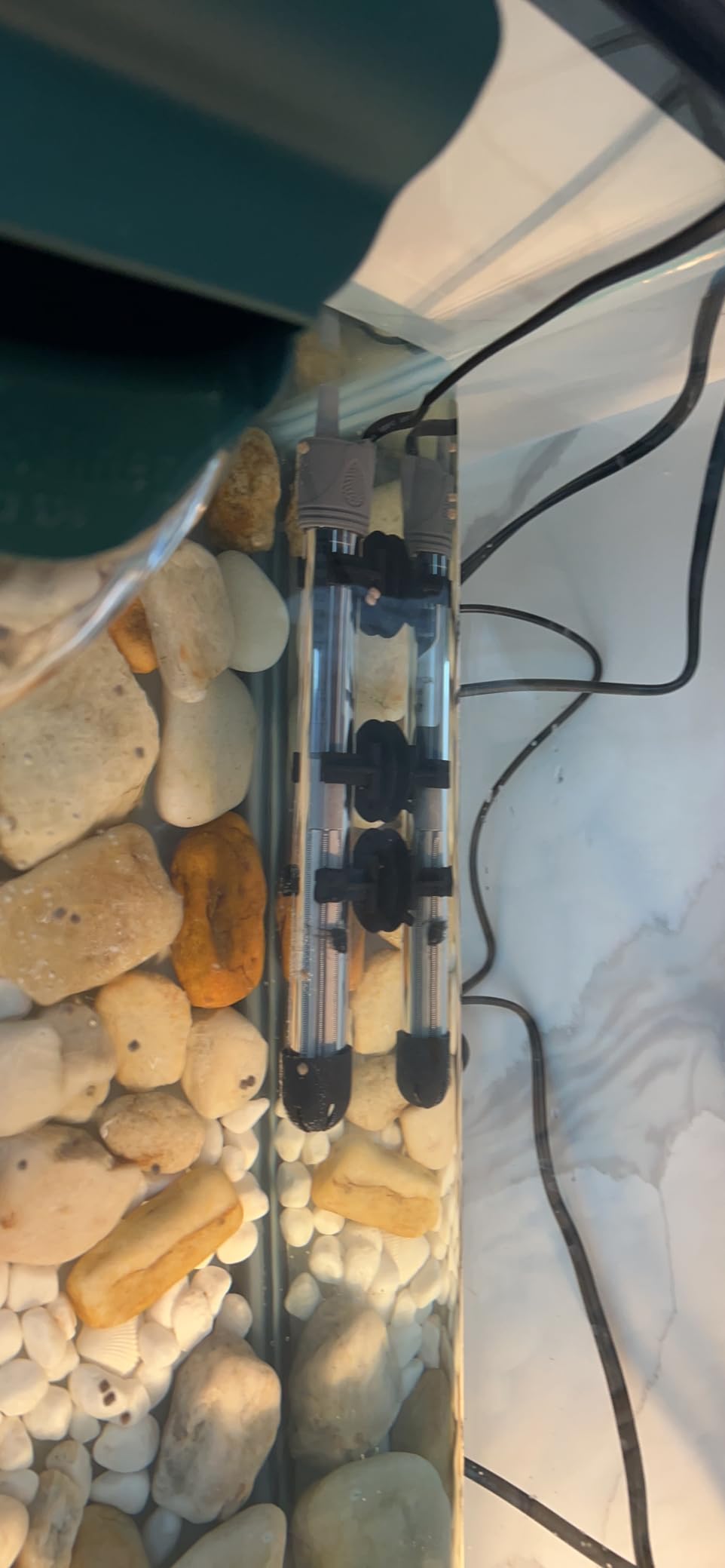 HITOP 100W Adjustable Aquarium Heater, Submersible Fish Tank Heater Thermostat with Suction Cups for 12-30Gal customer photo 1