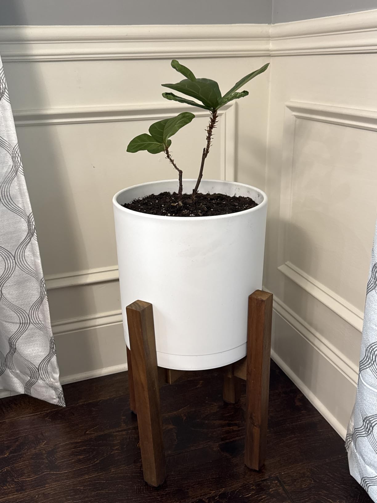 Sophia Mills Mid Century Plant Stand - Solid Wood Item Stand Handmade with Acacia - Fits Medium & Large Pots Sizes 8 to 12 inches (Not Included) (Adjustable Width: 8-12 inches, Dark Brown) customer photo 2