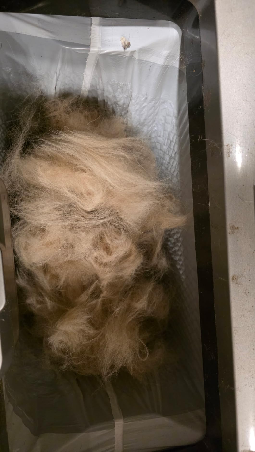 Maxpower Planet Dog Grooming Rake, Deshedding Undercoat Brush, Dogs & Cats customer photo 1
