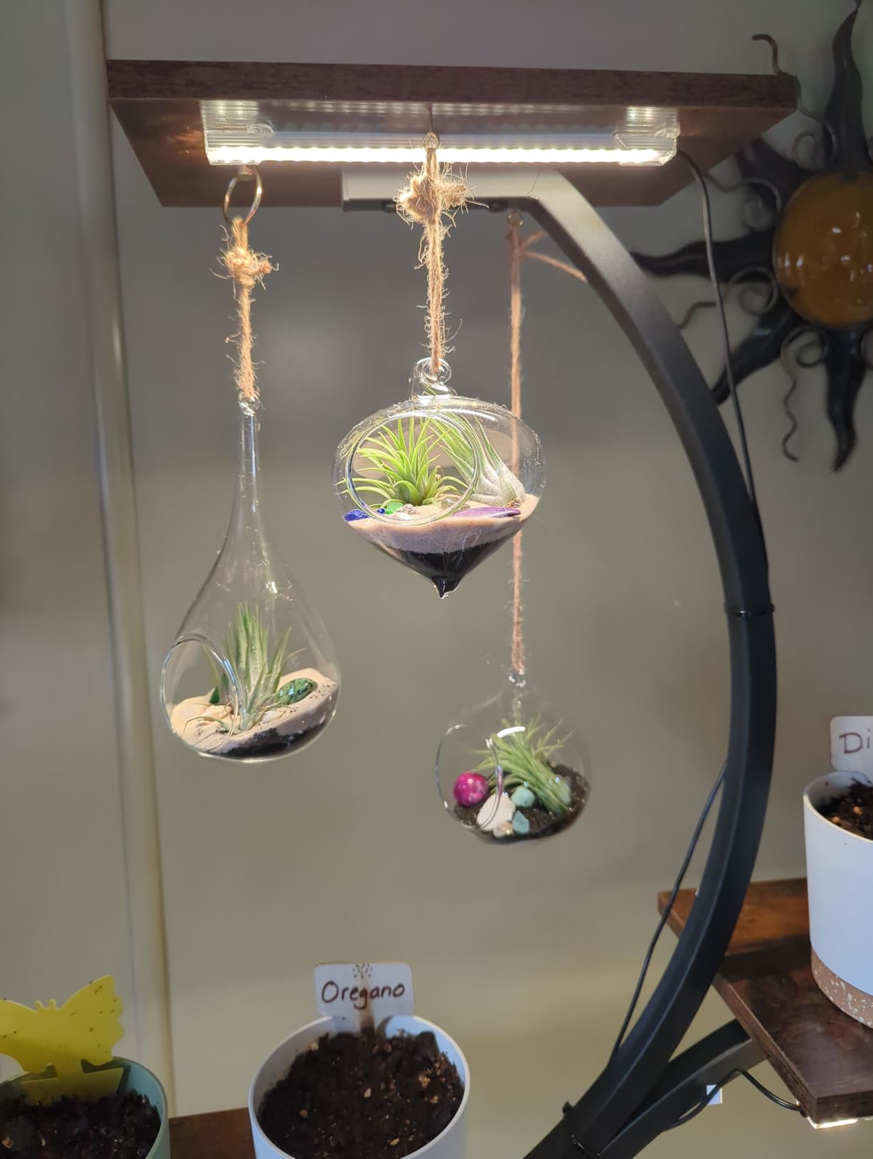Mkono 3 Pack Air Plant Holder, Glass Hanging Planter Terrarium Globe Hanger customer photo 2