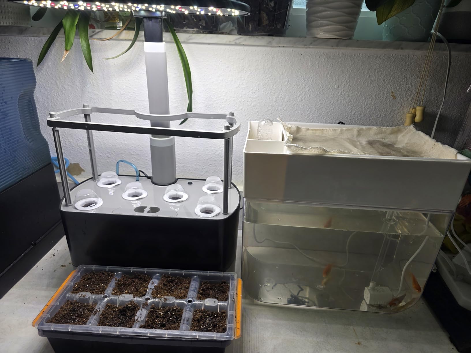 Hydroponic Garden Aquaponic Fish Tank Plants Growing System Self-Cleaning Seed Sprouter Tray customer photo 2