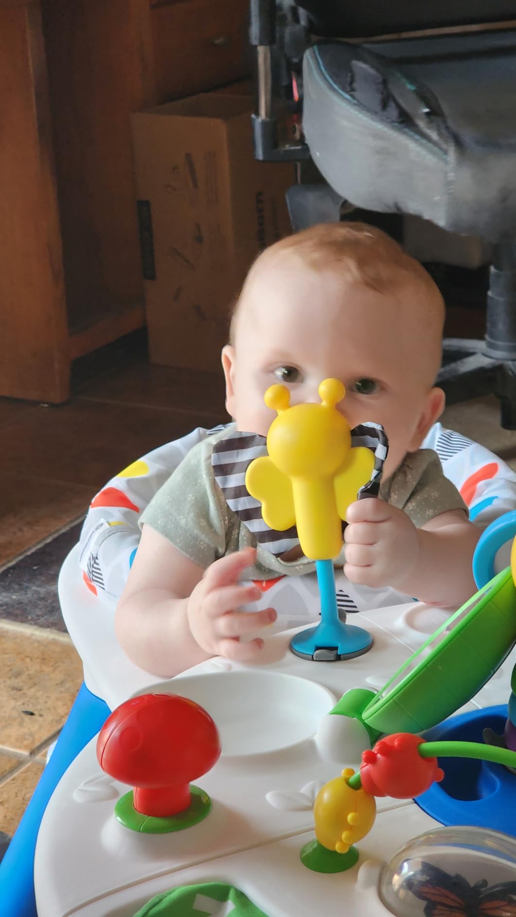 Baby Einstein 4-in-1 Activity Center & Walker with Piano, Age 6M+ | 4 ways to grow: walker, discovery table, art table & floor play—entertains babies 6-36 months with 15+ activities customer photo 1