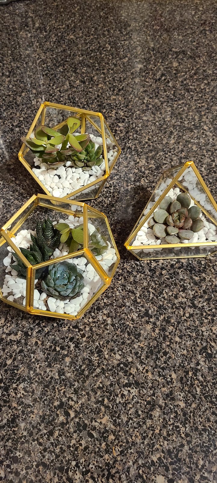 Mkono 3 Pack Geometric Glass Terrarium, 4