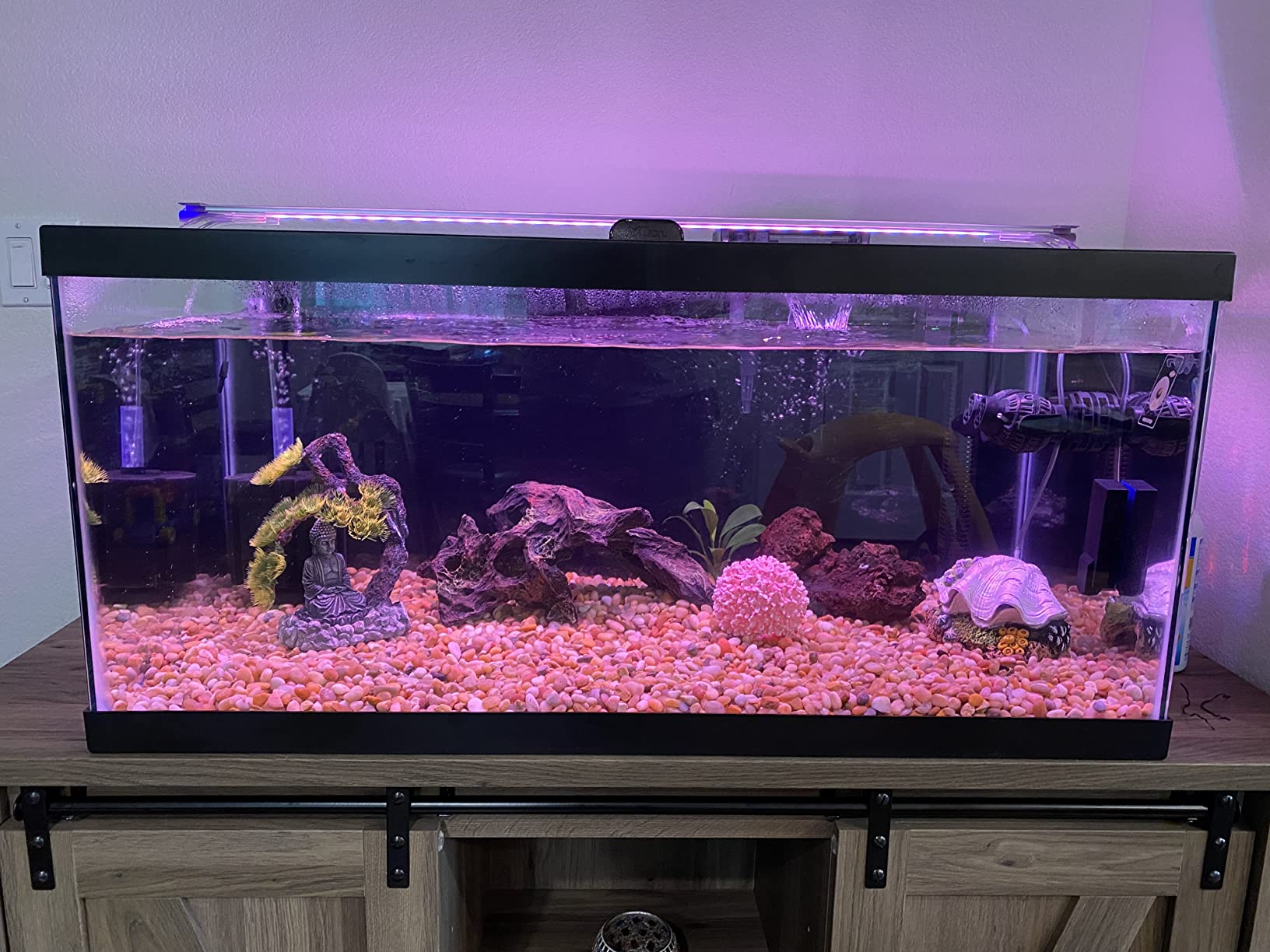 Finnex Planted Plus True 24/7 + HLC Aquarium LED Light, Automated Full Spectrum Fish Tank Light, True 660nm Deep Red Plant LEDs, 20 Inch, (HLC-20) customer photo 2