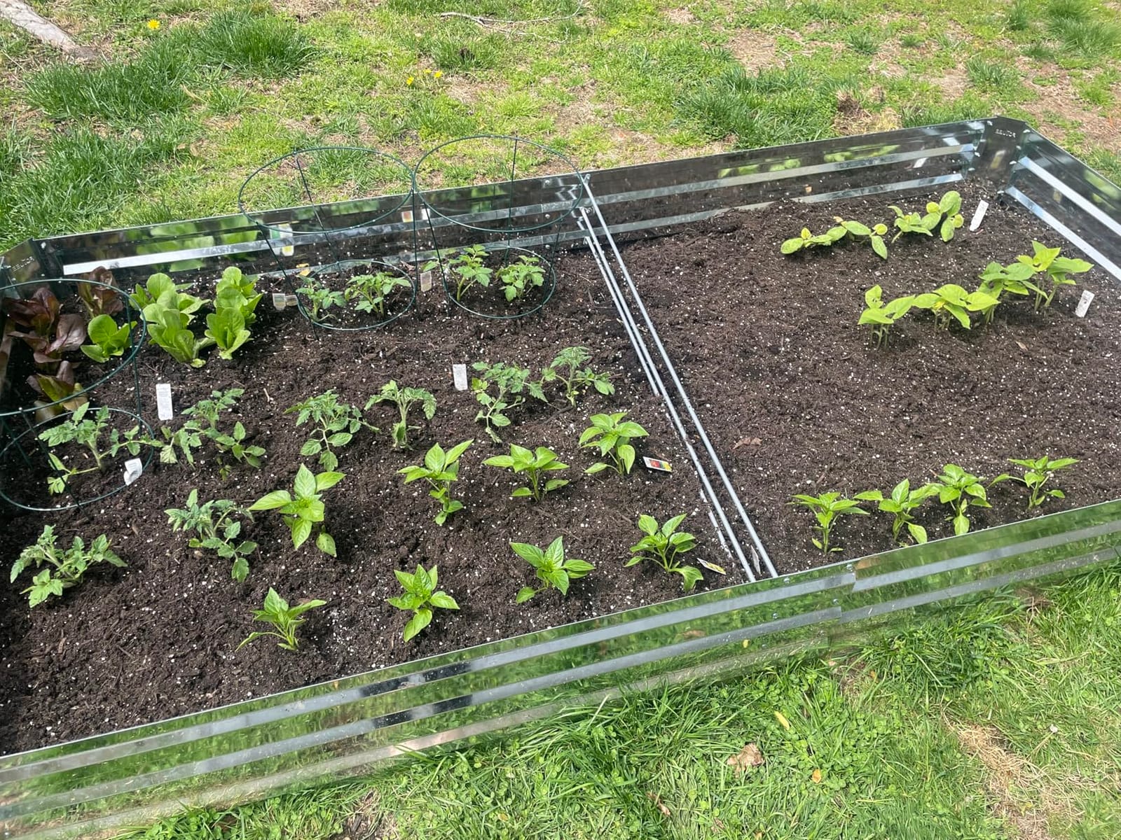Galvanized Raised Garden Bed 8x4x1ft Single Unit customer photo 1