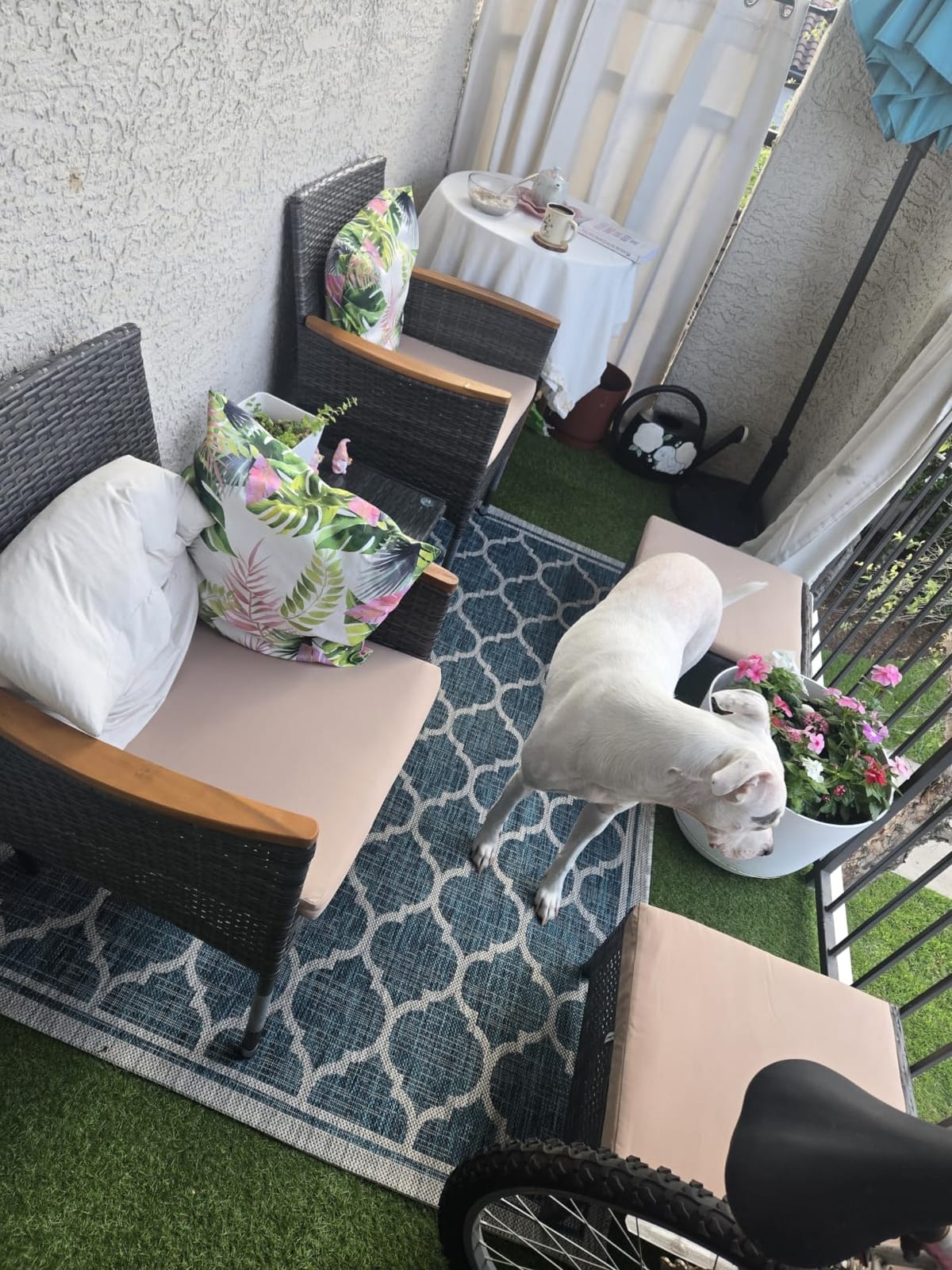 JONATHAN Y Moroccan Trellis Indoor Outdoor Area Rug 5X8 Espresso/Taupe, Trebol Textured Weave for Backyard, Patio, Porch, Easy-Cleaning, High Traffic, Pet-Friendly, Non-Shedding (SMB109B-5) customer photo 1