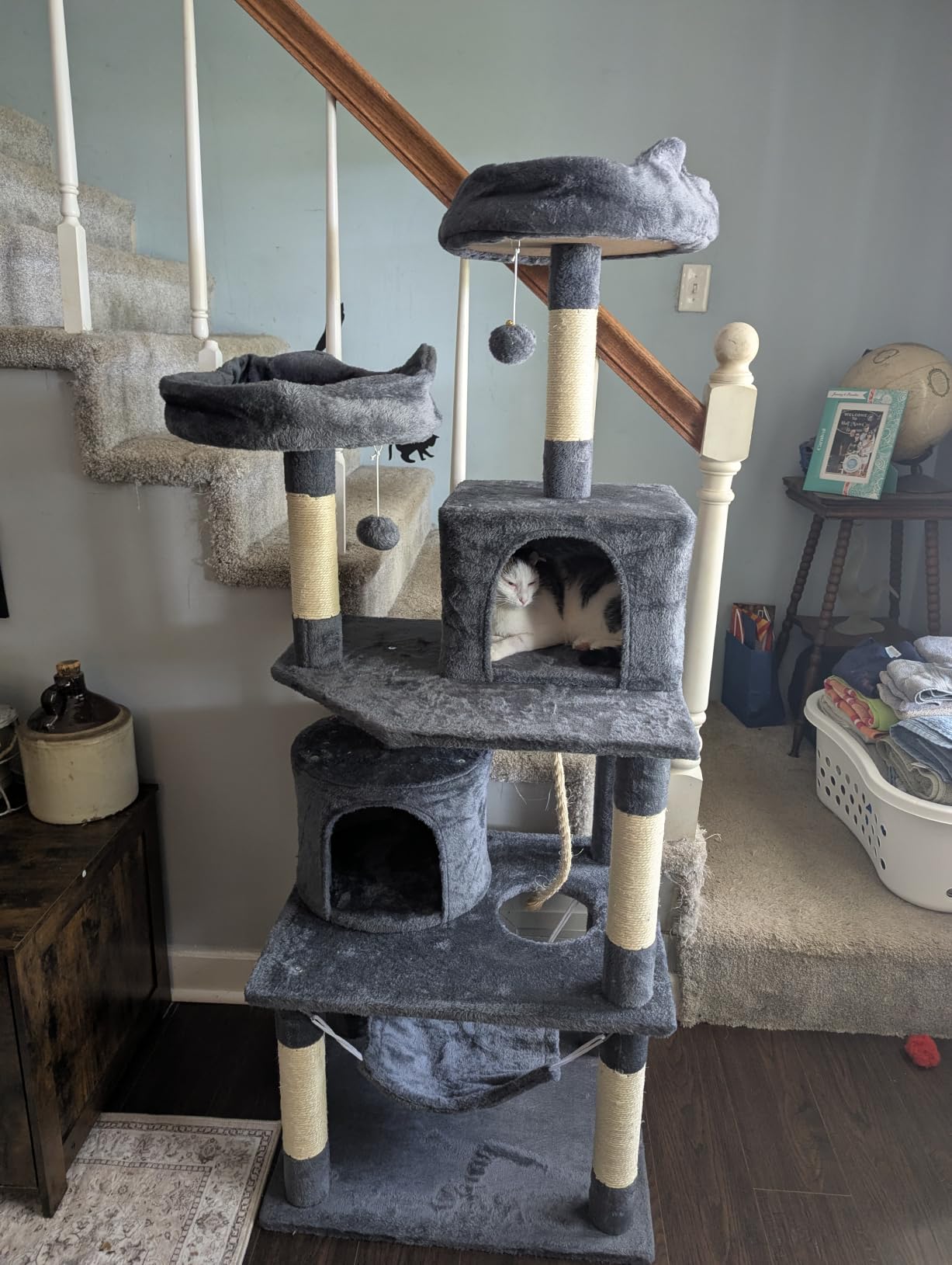 Yaheetech 62.5in Tall Cat Tree w/2 Cat-Ear Perches & 2 Condos, Dark Gray customer photo 1
