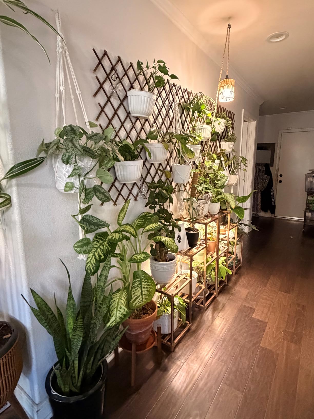 ORIMERC 6 Pack Hanging Planter Wall Planter Self Watering 5 inch Plant Pot with Hardware Vertical Planter Outdoor Indoor Plants Herb Garden Home Décor Kitchen Balcony Railing Shelf Fence (Medium) customer photo 1