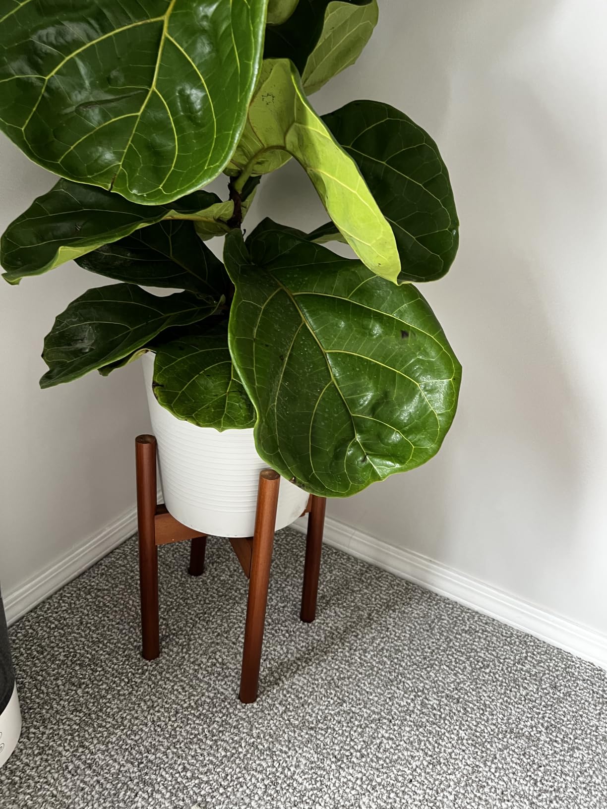 MUDEELA Plant Stand for Indoor, Bamboo Material, Dark Brown, 14.5 Inch Tall customer photo 2