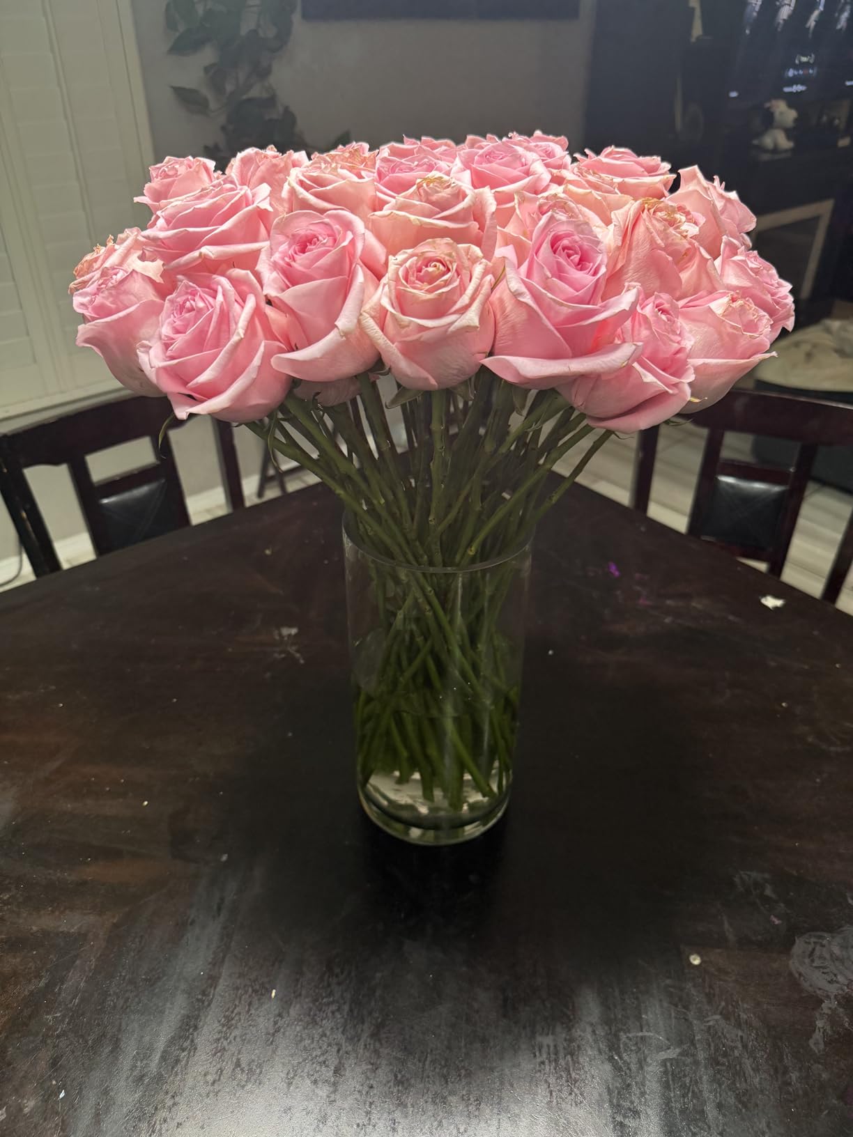 WGV Cylinder Vase, Width 6