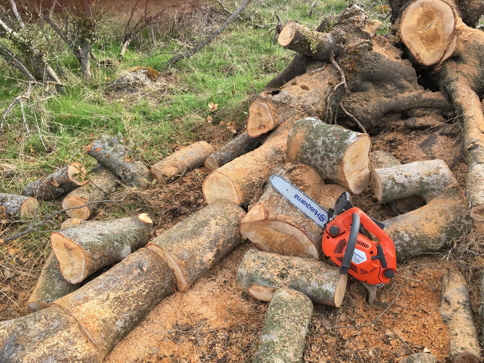 Husqvarna T435 12 in. 35.2cc Top Handle Gas Chainsaw customer photo 2