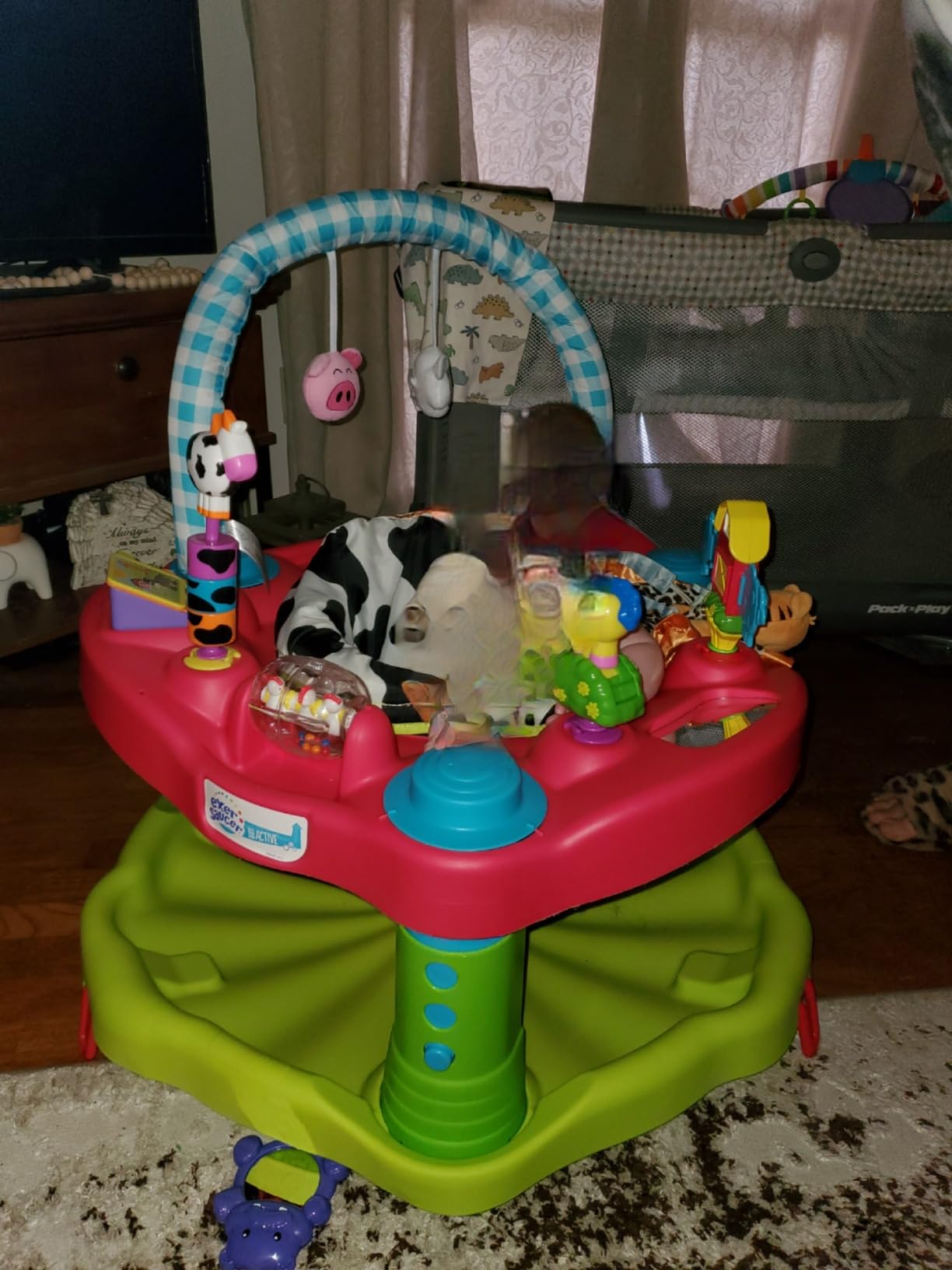 Evenflo Exersaucer Seaside Splash Activity Center customer photo 2