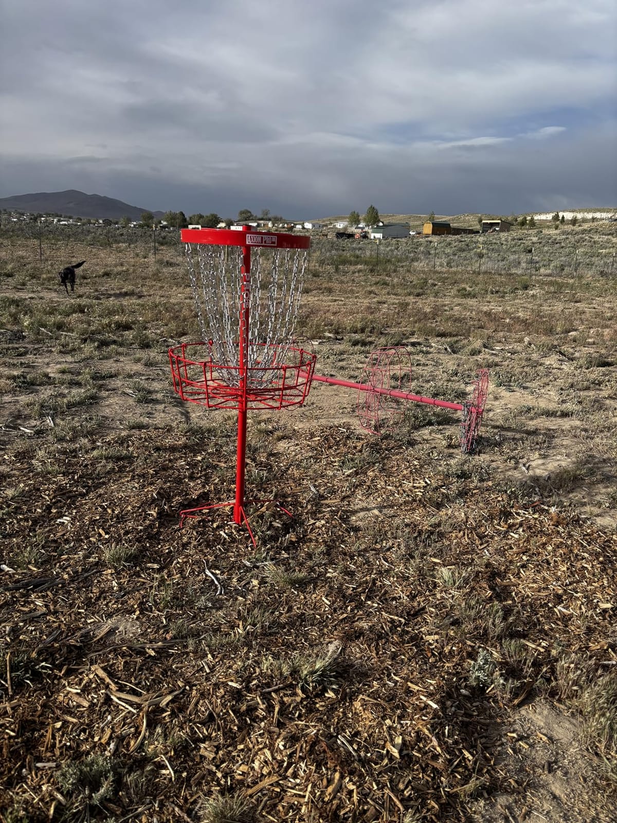 Axiom Discs Pro HD Disc Golf Basket customer photo 2