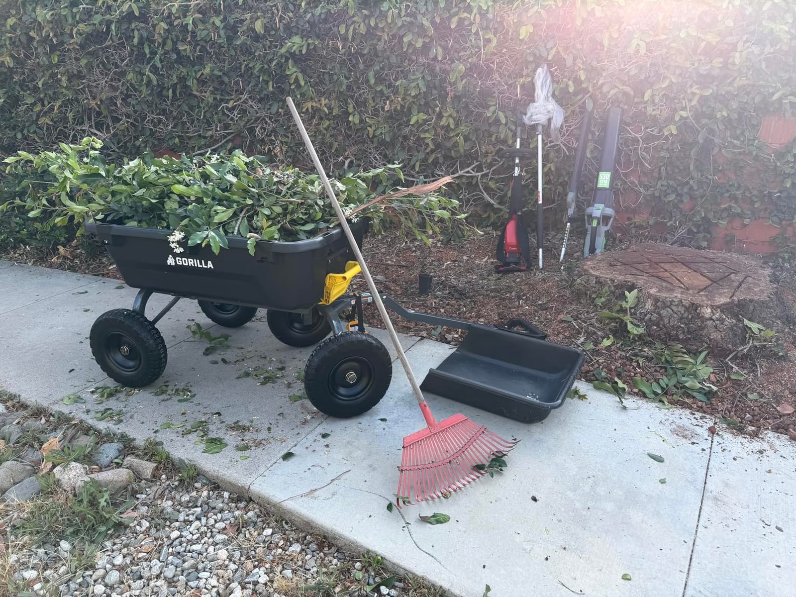 Gorilla Carts Dump Garden Cart, 7 Cu Ft,1200 lb Capacity, No-Flat Tires customer photo 2