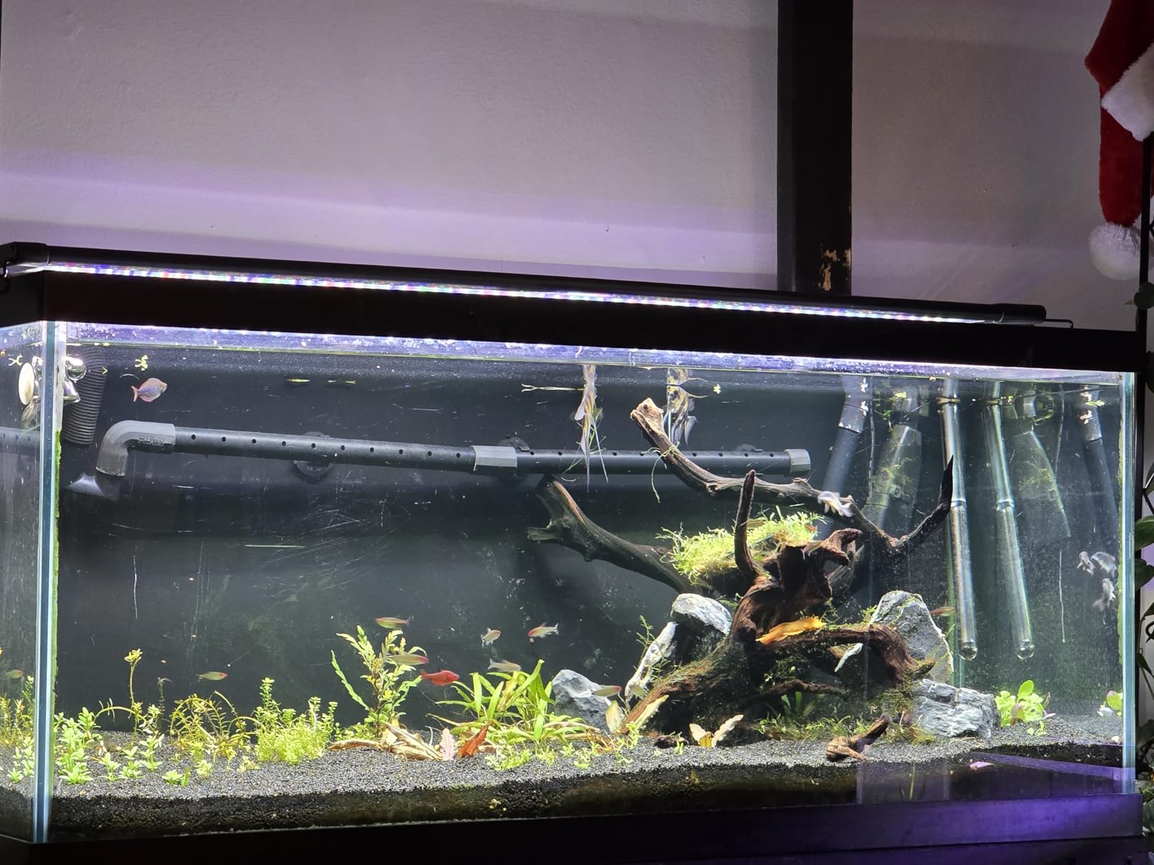 hygger Aquarium Programmable LED Light, for 48~55in Long Full Spectrum Plant Fish Tank Light with LCD Setting Display, 7 Colors, Sunrise Sunset Moon and DIY Mode, for Novices Advanced Players customer photo 2