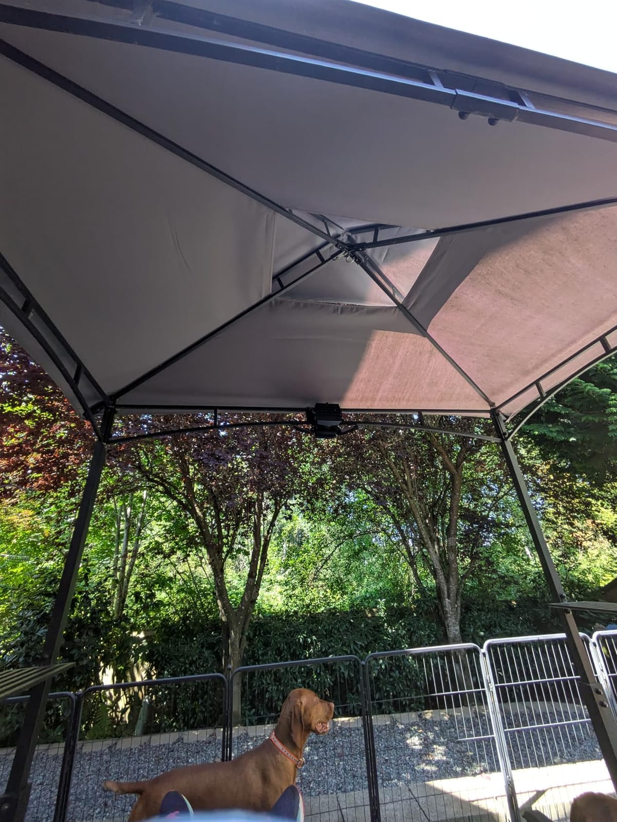 ABCCANOPY 8x5 Grill Gazebo BBQ Shelter with 2 LED Lights, Dark Gray customer photo 1