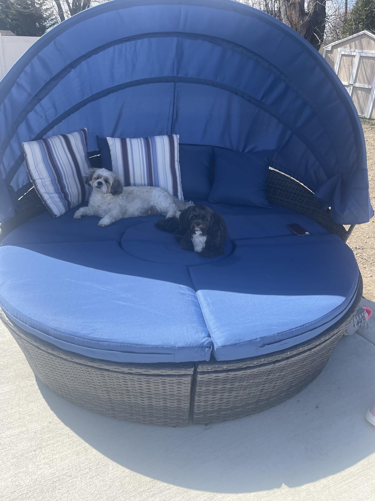 Tangkula Patio Round Daybed with Retractable Canopy, Outdoor Wicker Rattan Furniture Sets, Sectional Cushioned Sofa Set w/Height Adjustable Coffee Table, Rattan Conversation Sets (Black) customer photo 1