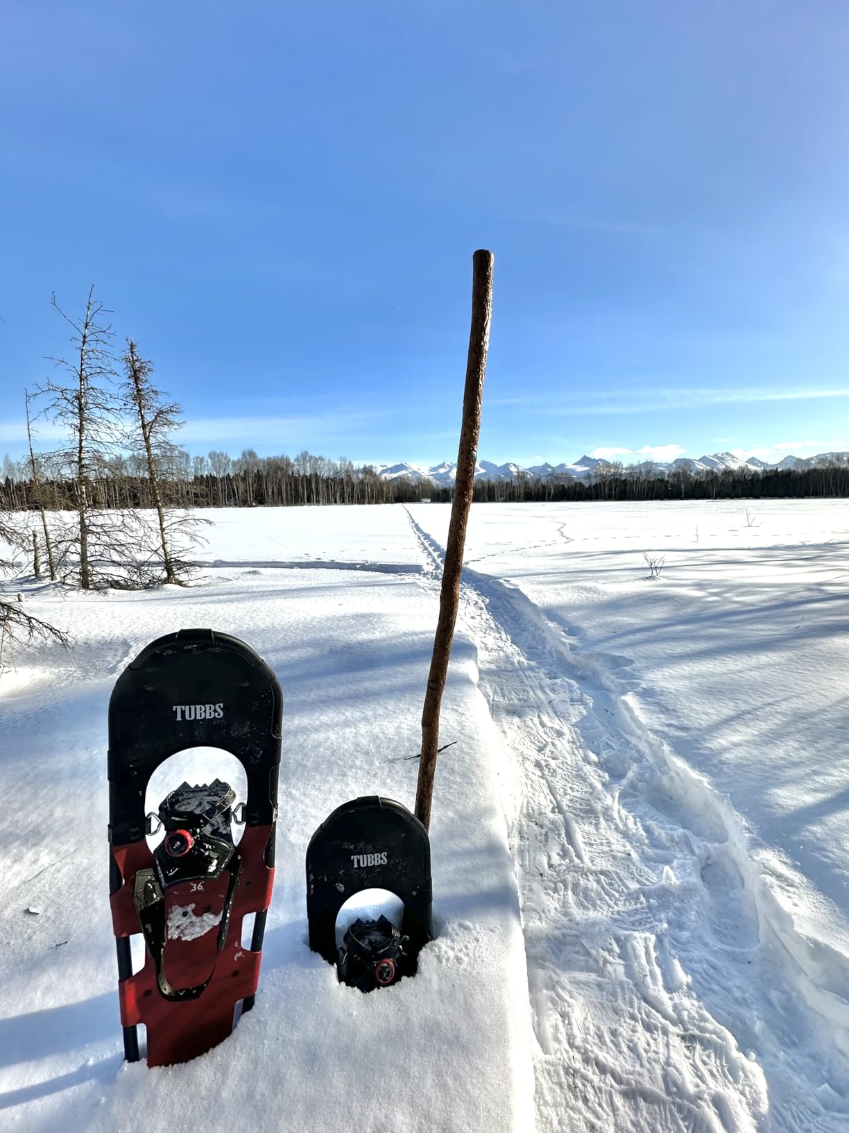 Tubbs, Wayfinder Snowshoe - Men's customer photo 1