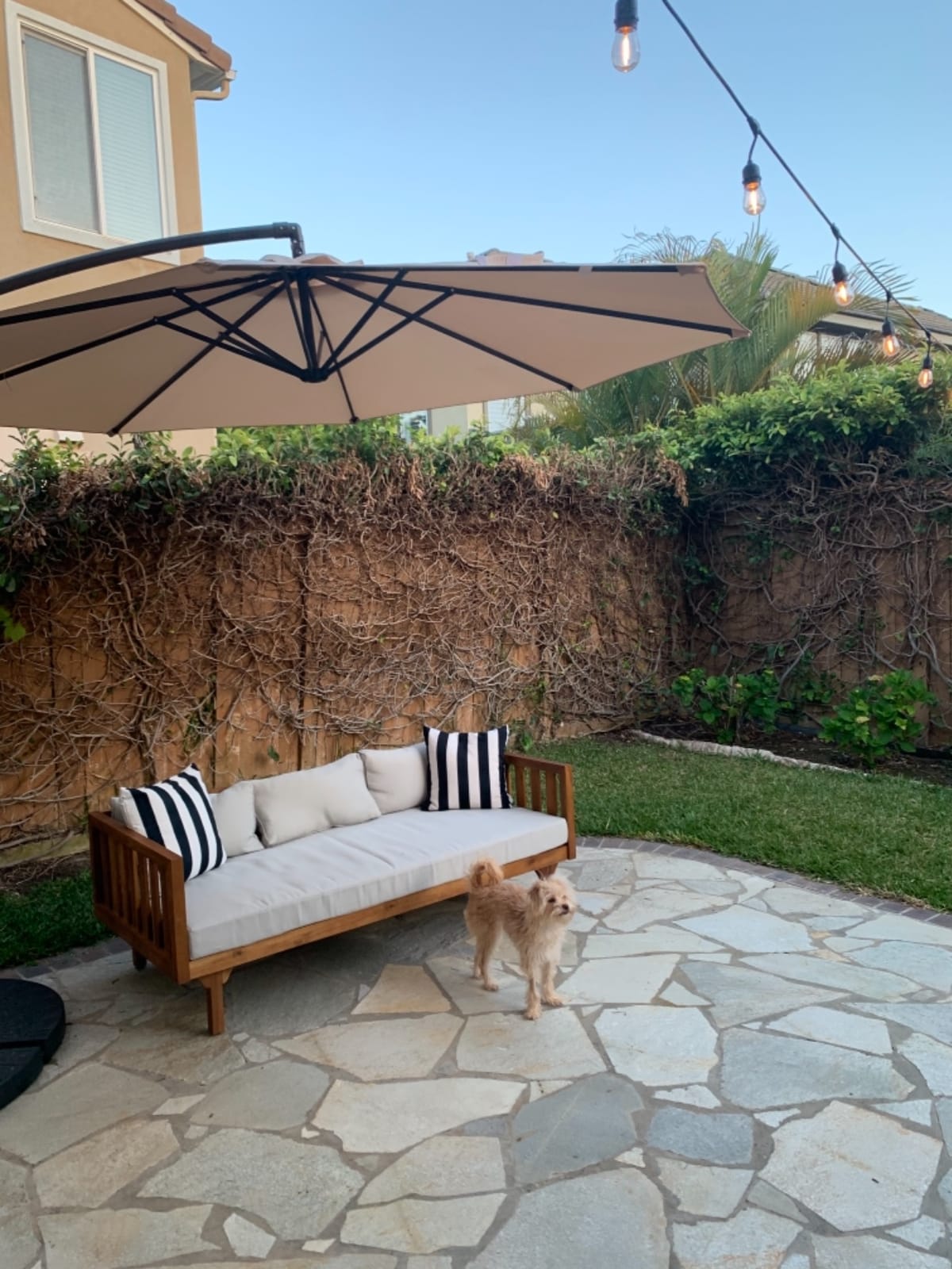 Christopher Knight Home Tina Outdoor 3 Seater Acacia Wood Daybed, Teak Finish, Light Grey customer photo 2