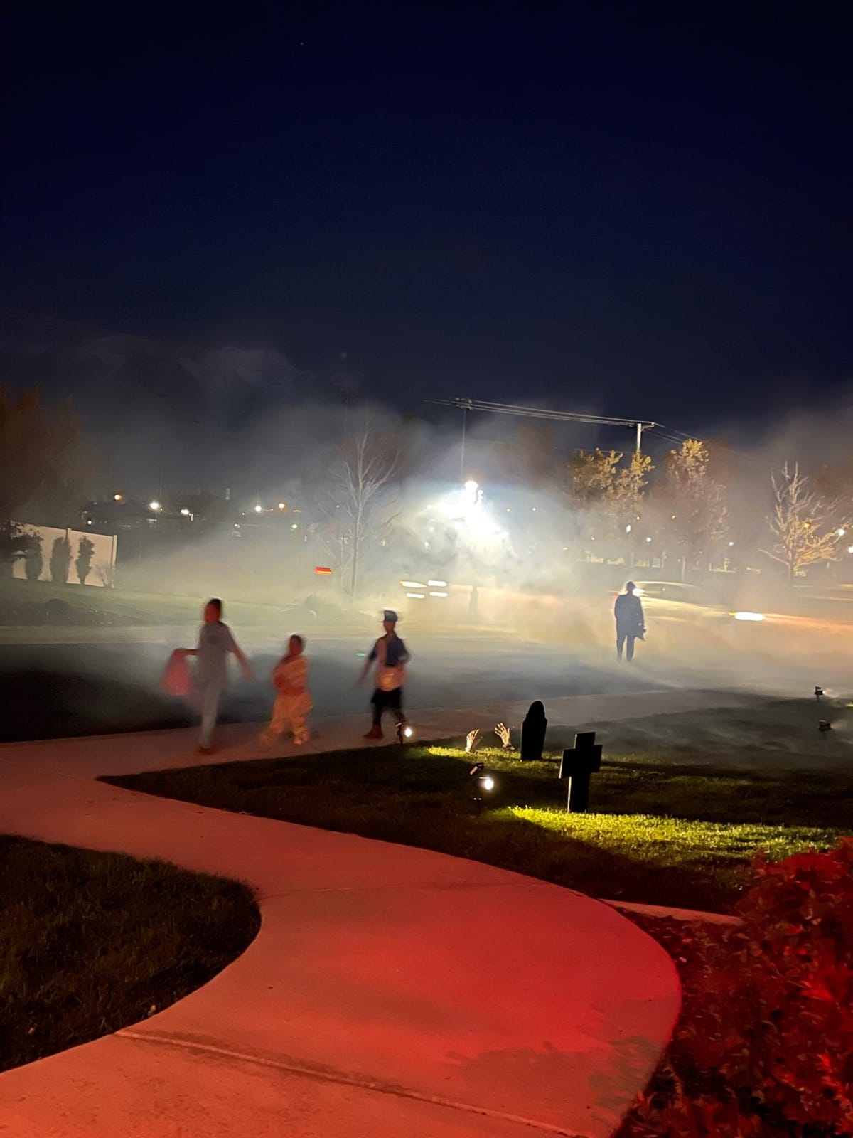 Fansteck Fog Machine Automatic Smoke Machine customer photo 2
