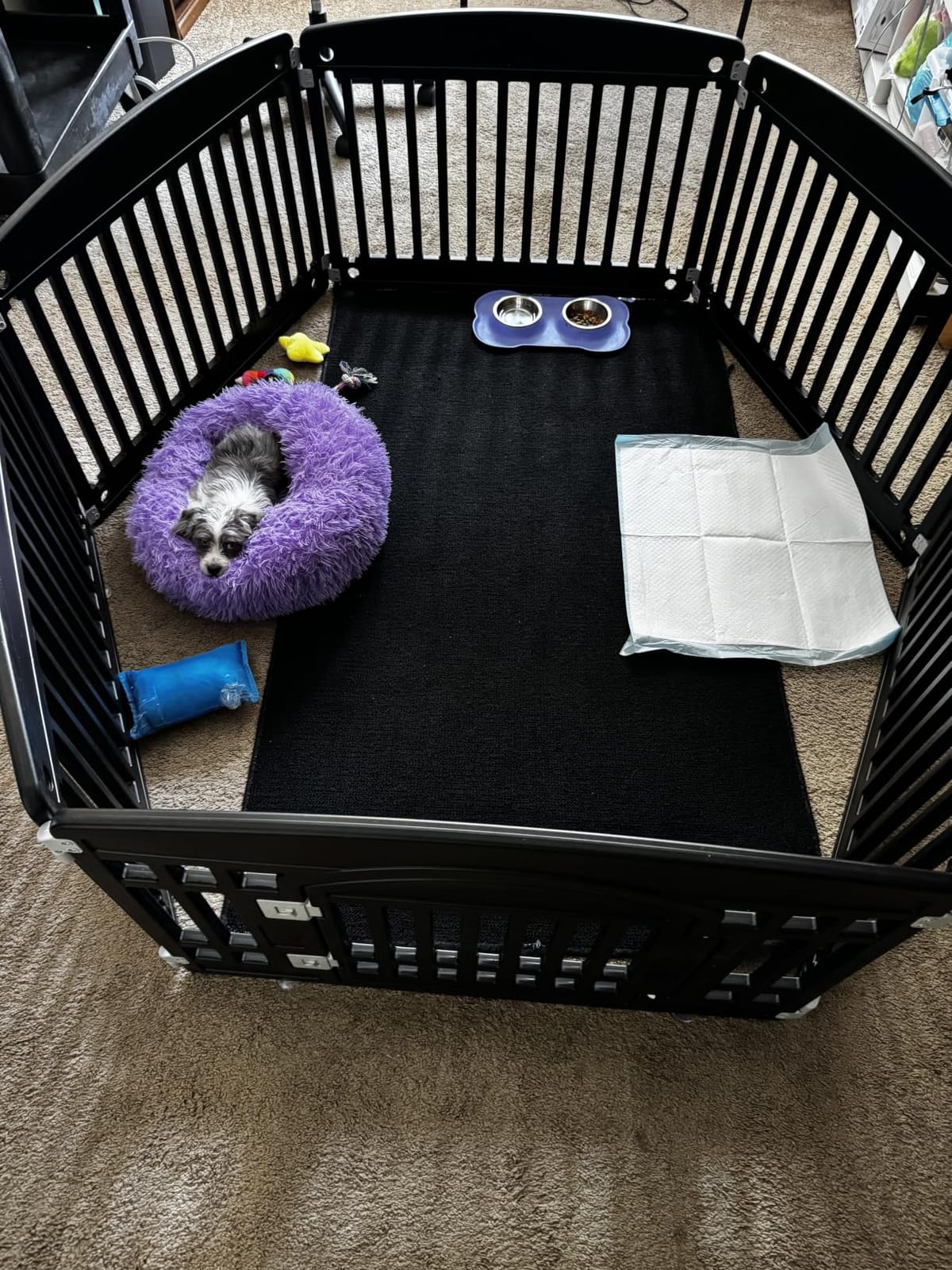 Small Calming Dogs Bed for Small Dogs Anti-Anxiety Machine Washable Fluffy Luxury Anti-Slip Waterproof Mute Base Warming Cozy Soft Pet Puppy Round Bed customer photo 1