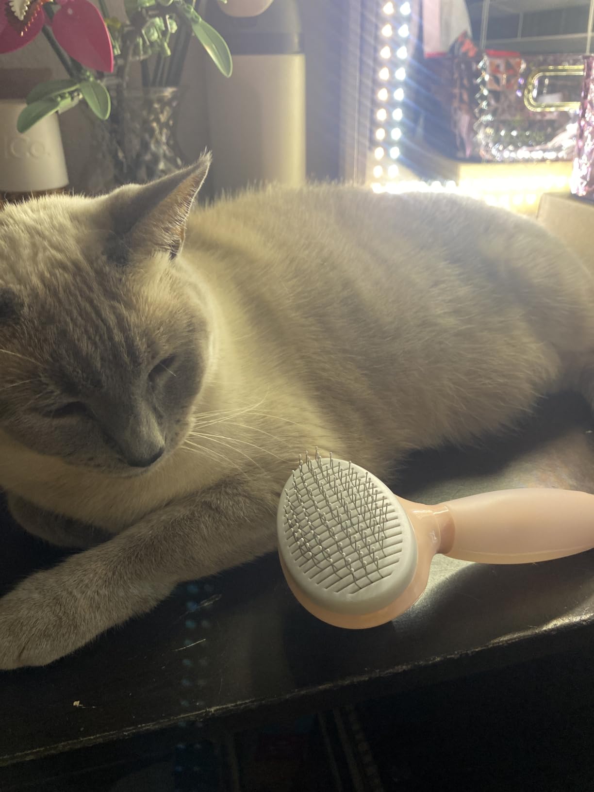 Cat Brush for Shedding, Self Cleaning Brush for Long & Short Hair Cats customer photo 2