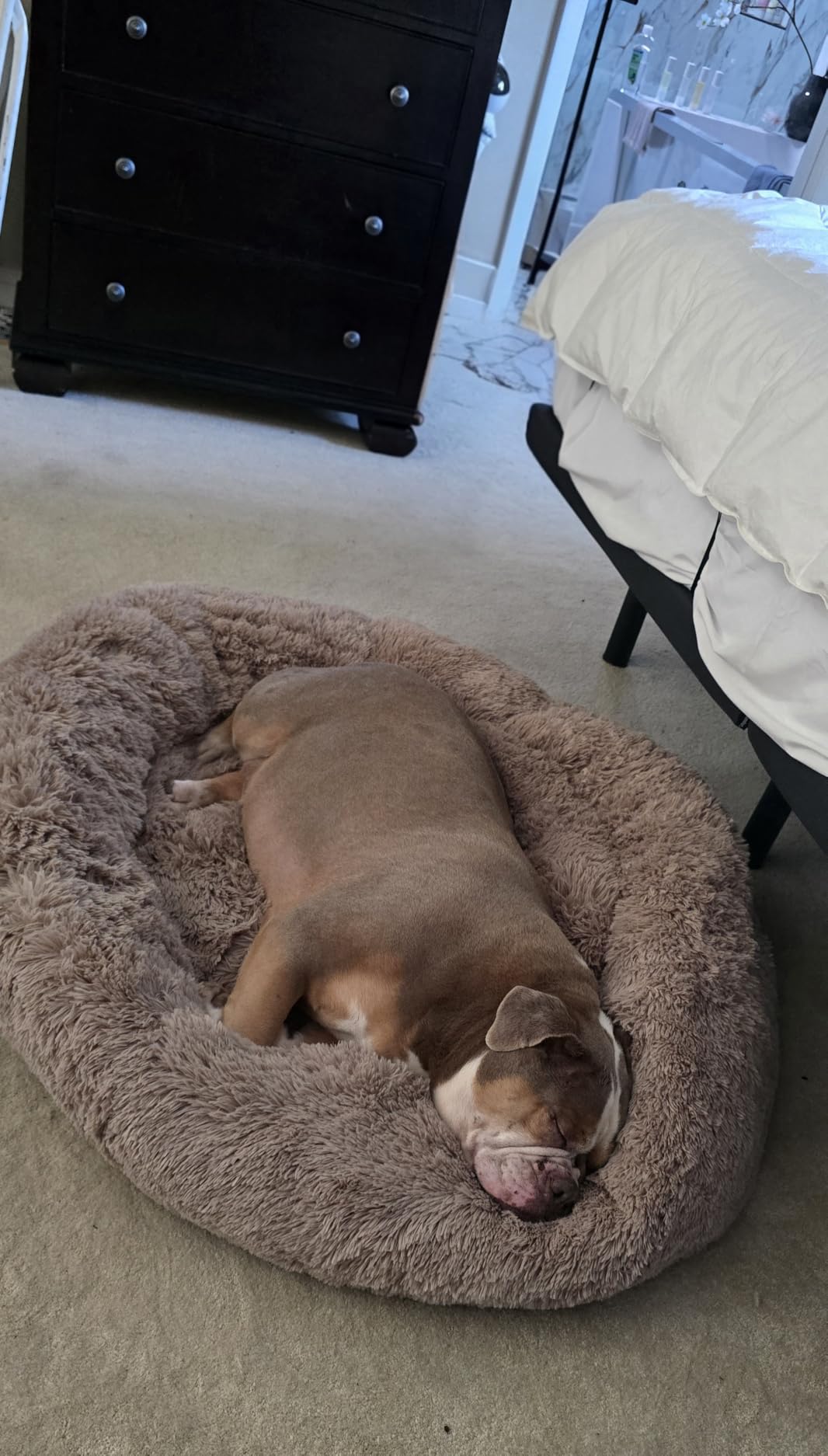 Bedsure Calming Dog Beds Large Sized Dog Donut Washable Pet Bed,36ins Camel | Oprah Daily Award,Fluffy Faux Fur Round Cuddler,Removable Washable Cover,Anti-Slip Bottom,Anti-Anxiety,Up to 80 Lbs customer photo 1