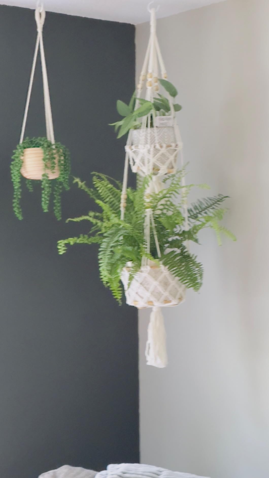 Augshy 2 Pcs Plant Hangers Hanging Plant Holder for Indoor Outdoor Decor Macrame Hanging Planter Basket with 4 Hooks(35 Inch) customer photo 2