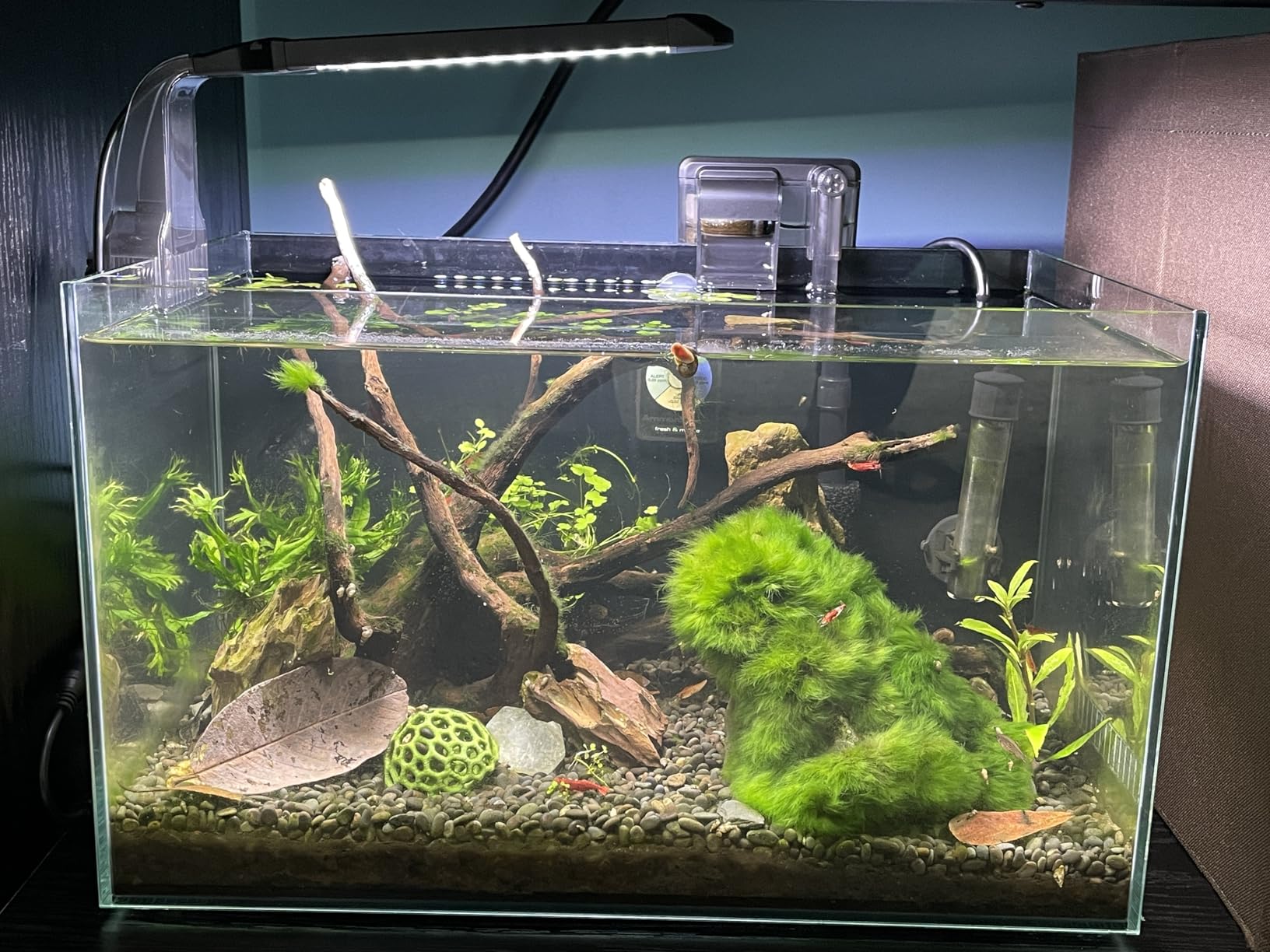 NICREW Clip-on Planted Aquarium Light for Fish Tank customer photo 2