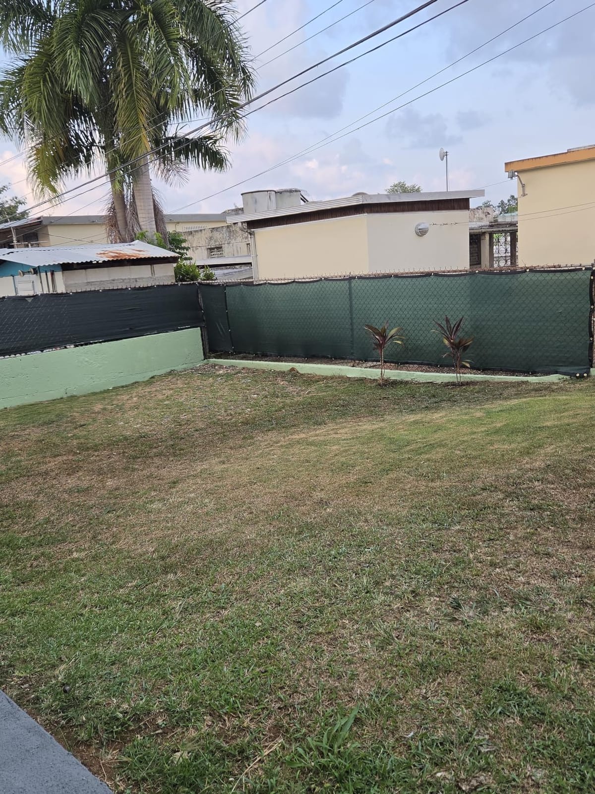 iCover 4x50ft Privacy Screen Fence, Outdoor Fencing Panels, Garden Windscreen Mesh Shade Sail Net Barrier, Include Reinforced Bindings and Brass Grommets Cable Zip Ties, Black customer photo 2