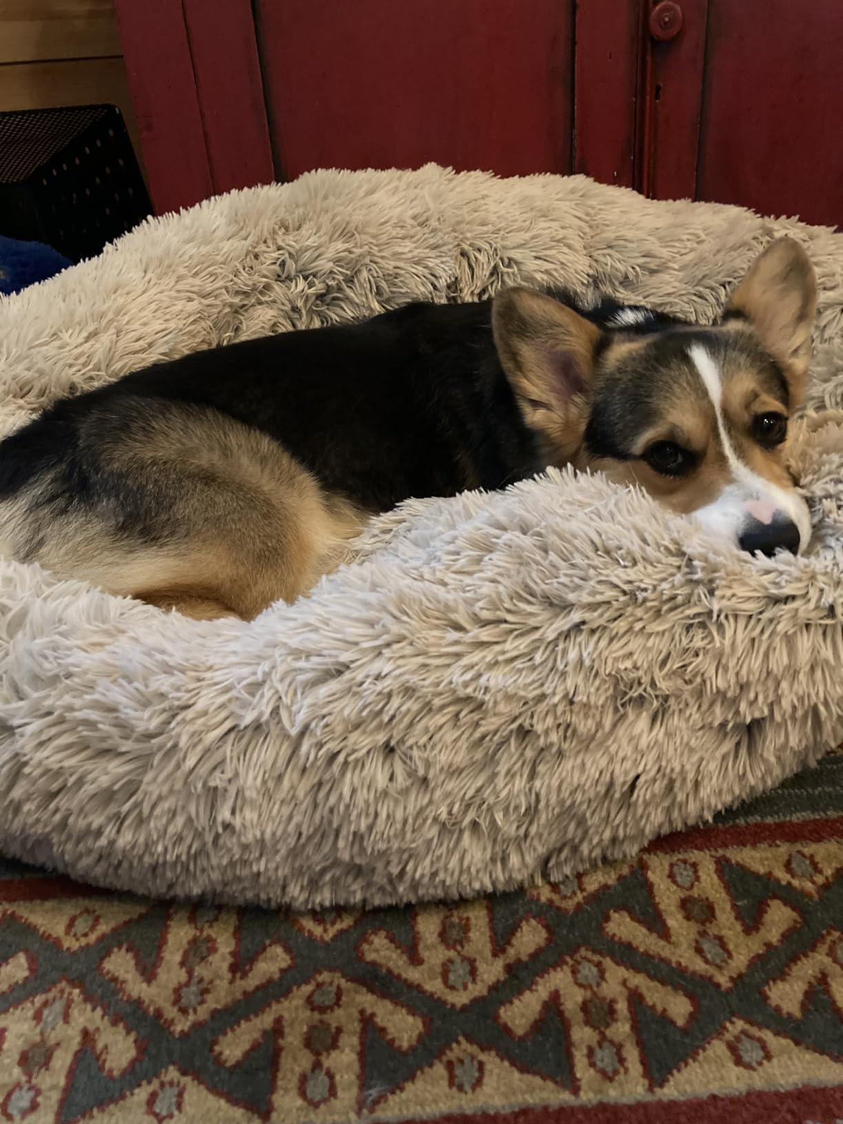 Best Friends by Sheri Original Calming Donut Dog Bed, Oyster, Large, 36