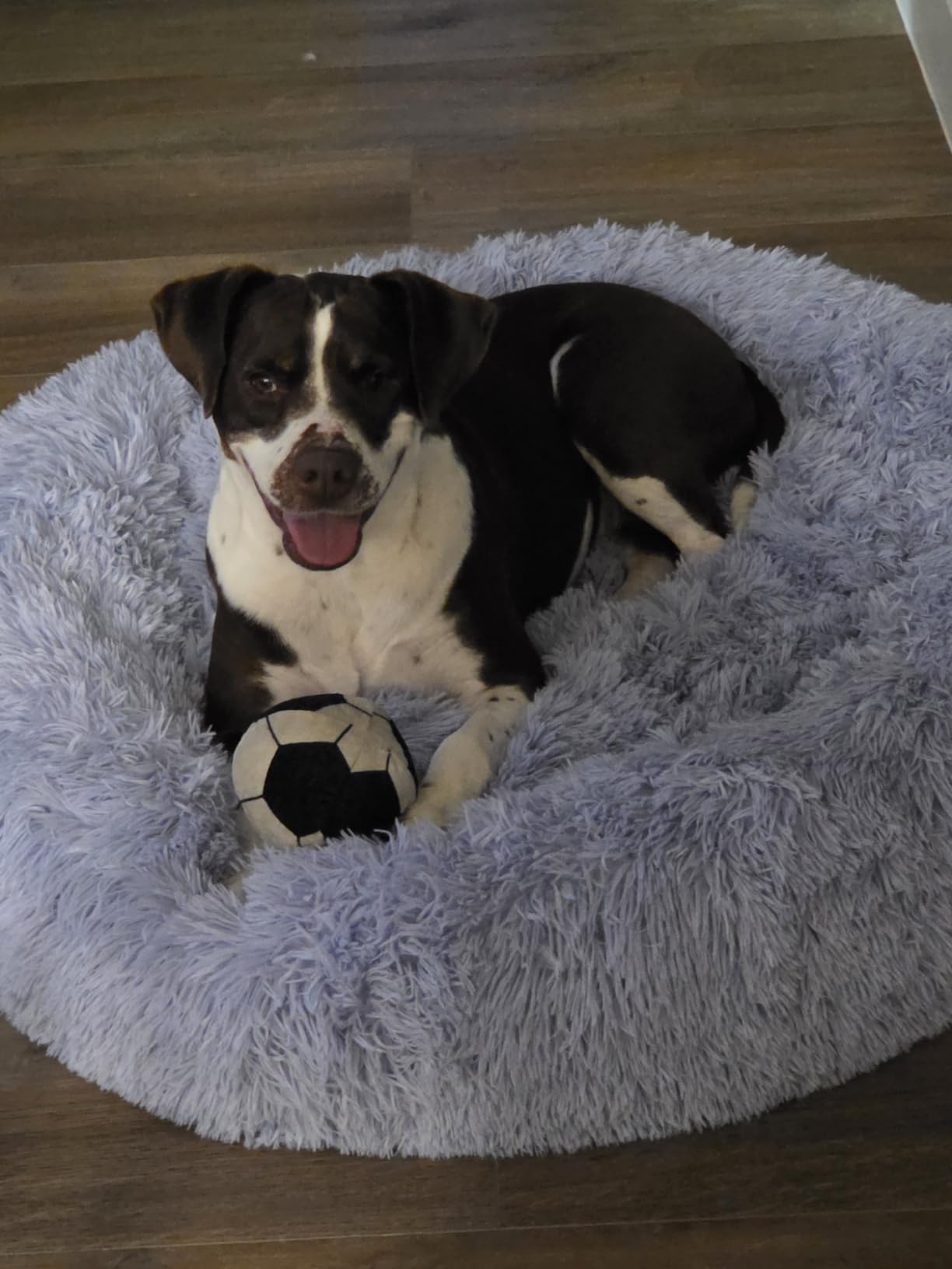 Best Friends by Sheri Original Calming Donut Dog Bed, Oyster, Large, 36
