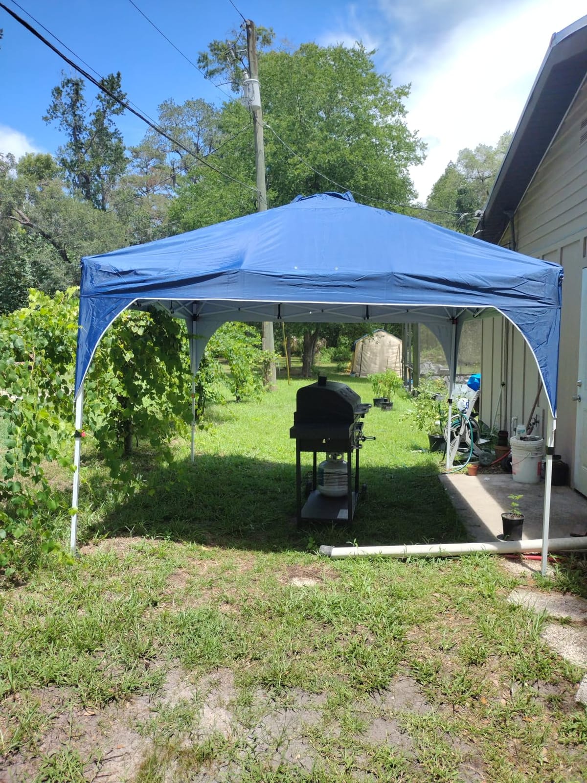 Yaheetech 10x10 Pop Up Canopy Tent for Outdoor Events, White customer photo 1