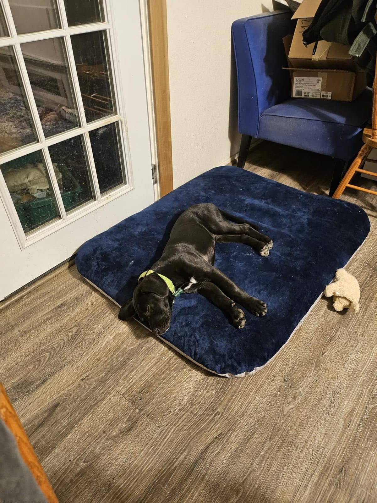 Magic Dog Orthopedic Extra Large Dog Bed 47 Inch, Super Soft XL Pet Bed customer photo 2