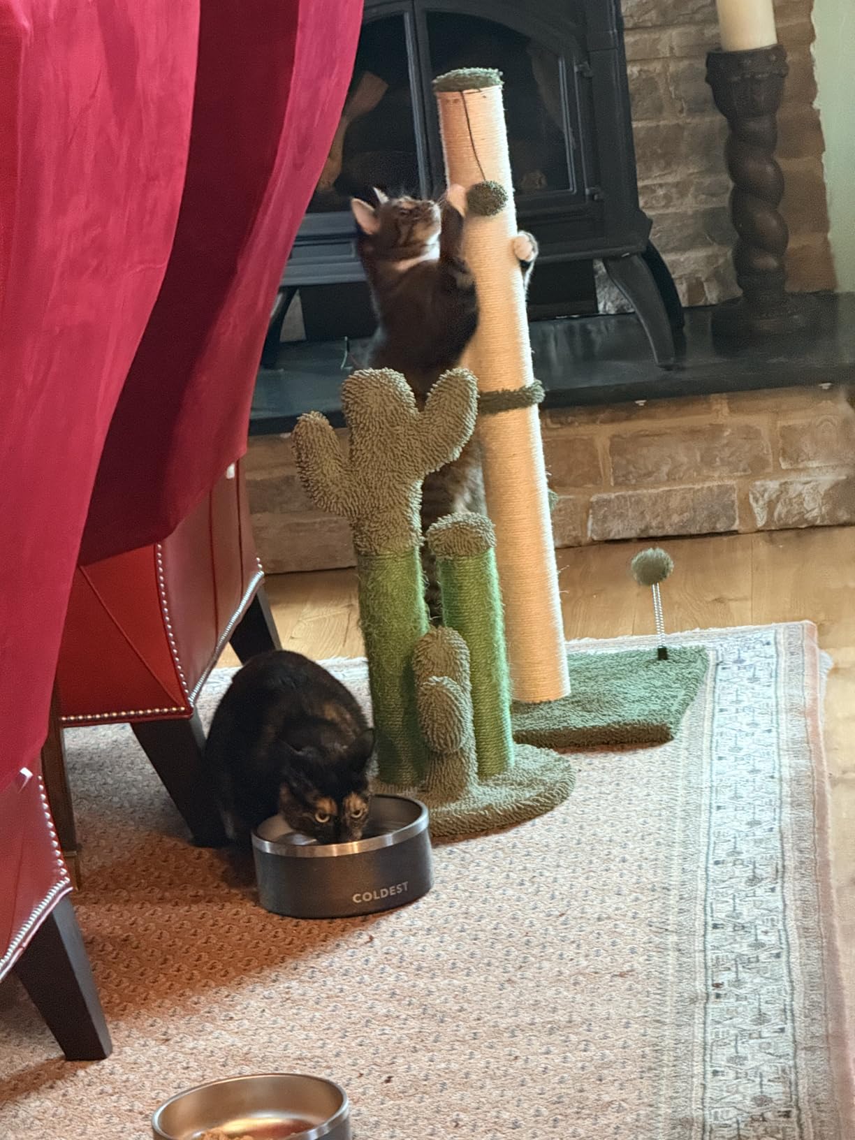 MECOOL Cat Scratching Post Premium Basics Kitten Scratcher Sisal Scratch Posts with Hanging Ball 22in for Kittens or Smaller Cats (22 inches for Kitten, Beige) customer photo 2