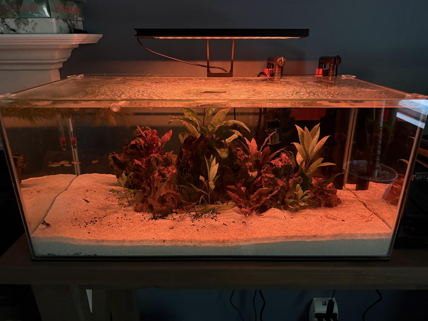hygger Clip On 24/7 Lighting Aquarium LED Light,Sunrise-Daylight-Moonlight and DIY Mode, Adjustable Timer/Brightness Fish Tank Light with 7 Colors for Planted Tank (14W for 12~20in Tank) customer photo 1