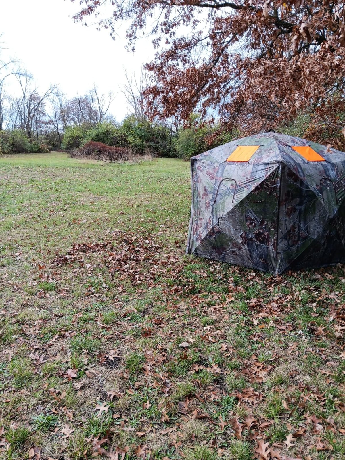 Barronett Blinds® Feather Five, Portable Hunting Blind, Huge Interior, Lightweight, 4-Person, Bloodtrail® Backwoods, 72” x 84” x 84”, FF500BW customer photo 2