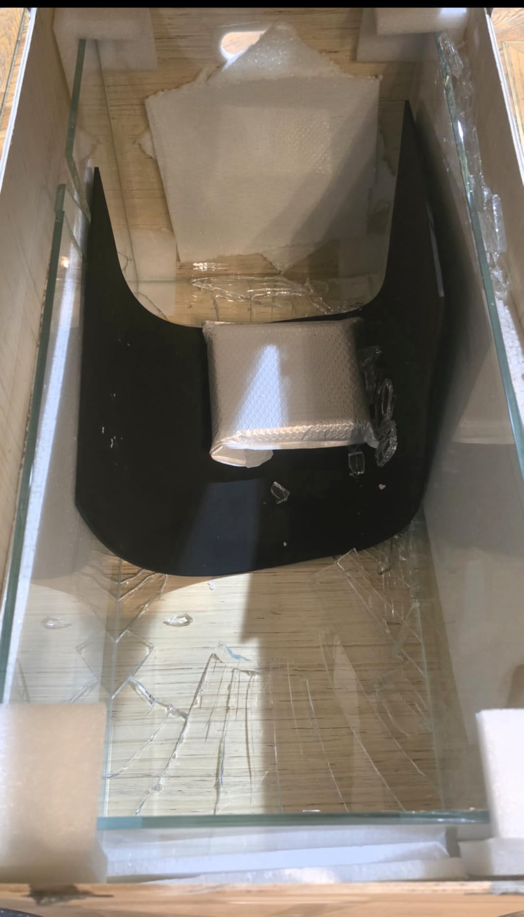 Low Iron Glass Ultra Clear Rimless Aquarium Tank,Classic Silhouette (21Gal) customer photo 2