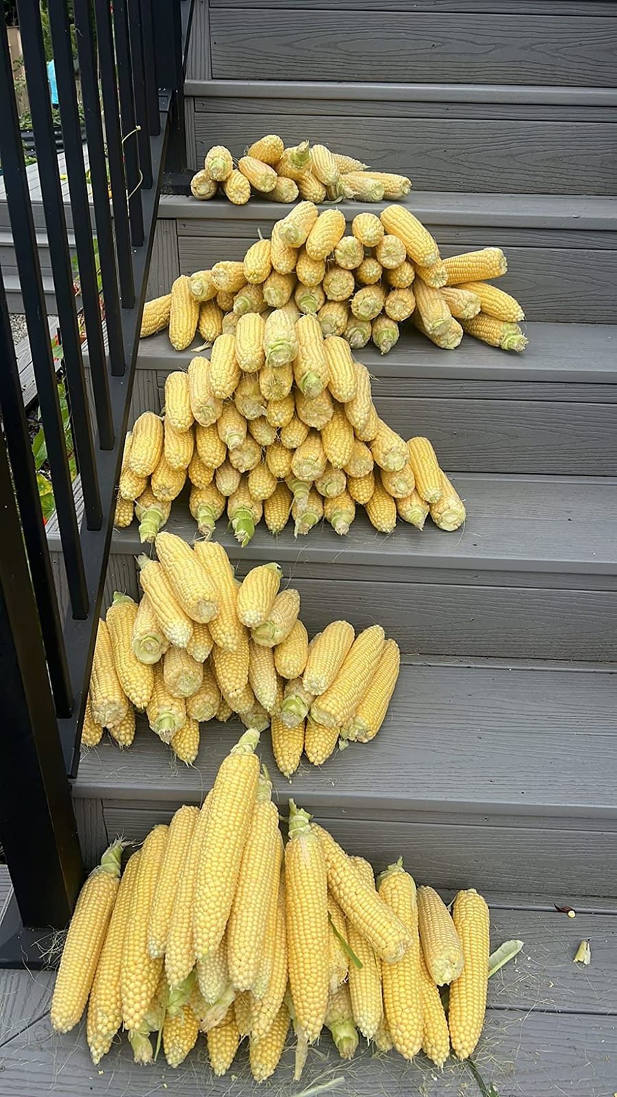 Corn Cob Stripper Tool, Corn Peeler for Corn on the Cob (Yellow) customer photo 1
