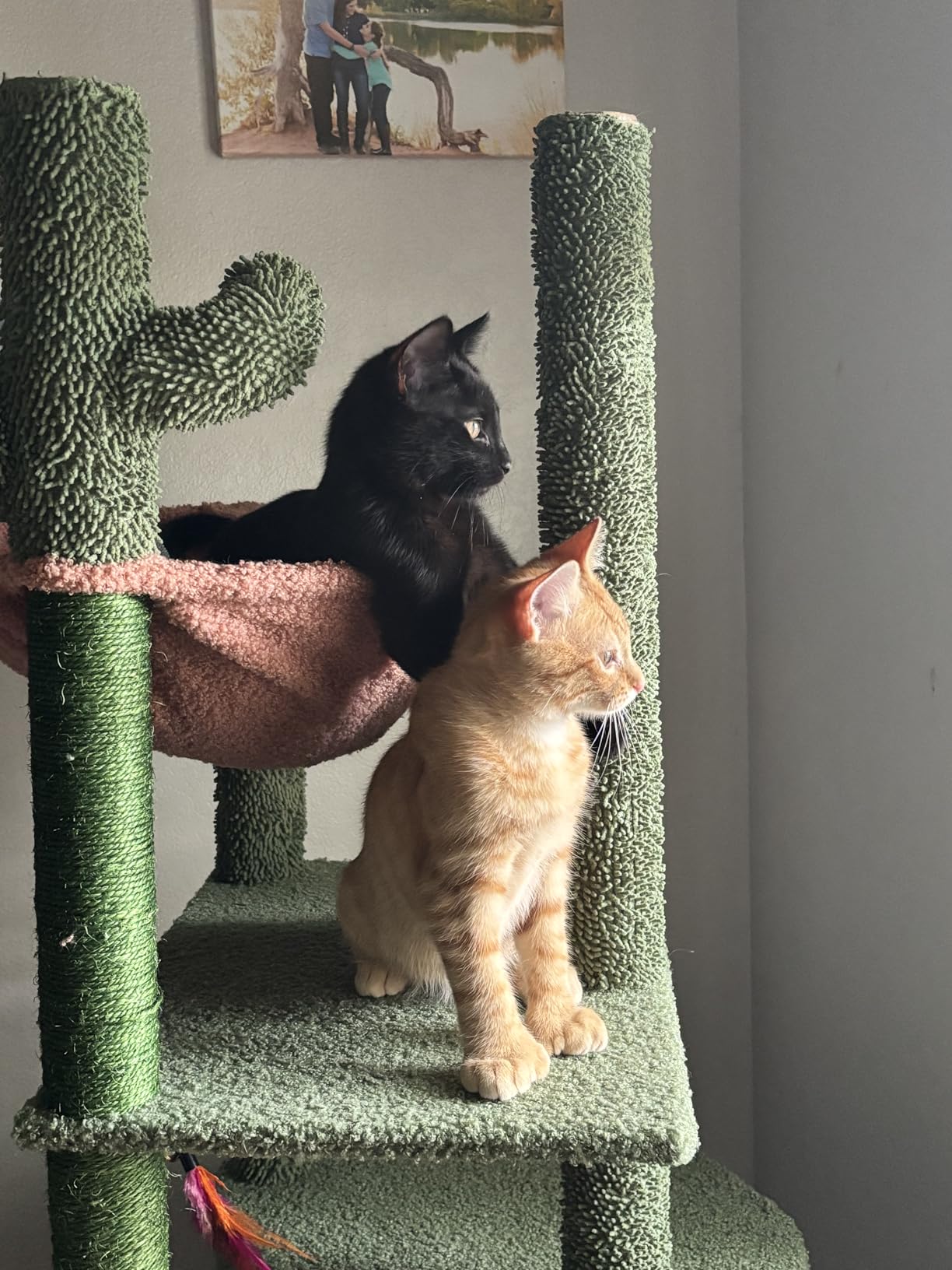 Three Layer Cat Tree with Cat Condo and Two Hammocks,Grey customer photo 1