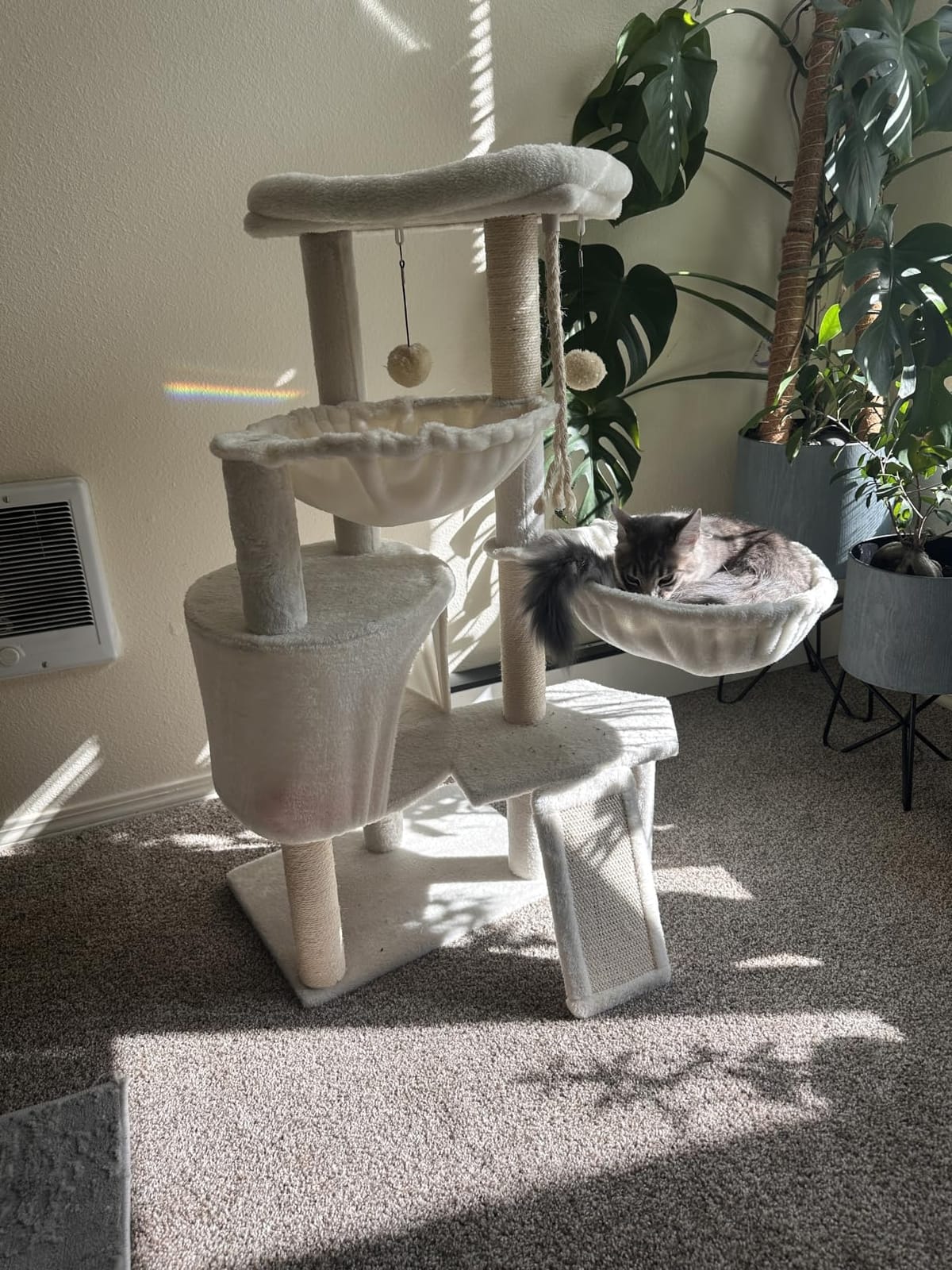 Three Layer Cat Tree with Cat Condo and Two Hammocks,Grey customer photo 2