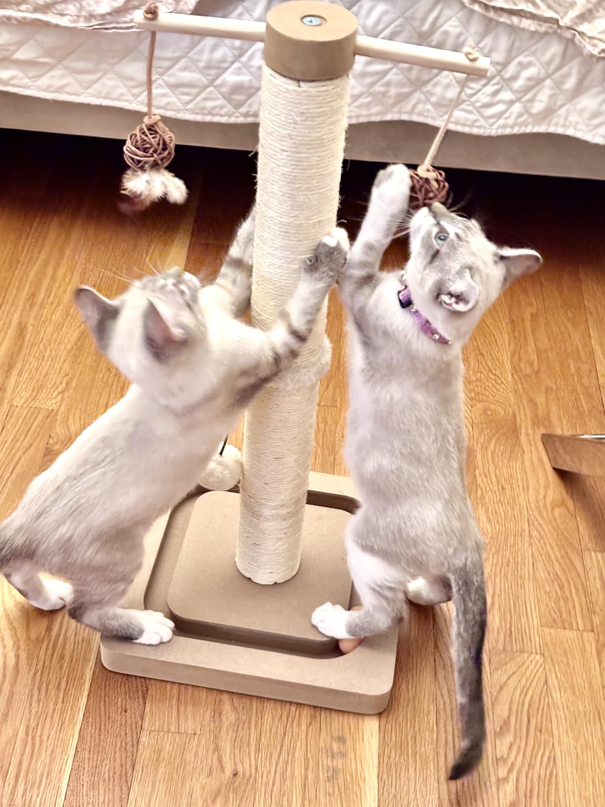 PEEKAB Cat Scratching Post Sisal Scratch Posts for Indoor Kittens and Cats,with Interactive Tracking Toys Suitable for Vertical Scratcher of Small and Medium-Sized Cats 25 Inches Beige customer photo 1