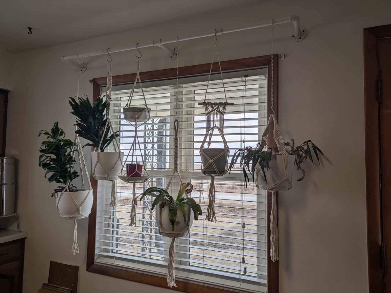 Nook Theory 4-Pack Macrame Plant Hangers with 8 Hooks - Hanging Planters for Indoor Plants, Boho Macrame Hangers Indoor Outdoor, Decorative Plant Hanger Indoor (Cream) customer photo 2