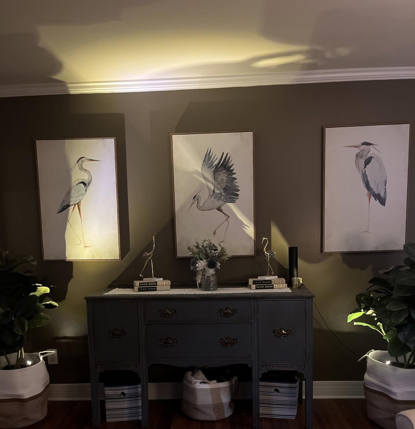HAMVIDNE Wireless LED Spotlight, Battery Powered Indoor Plant Tree Up Light customer photo 1