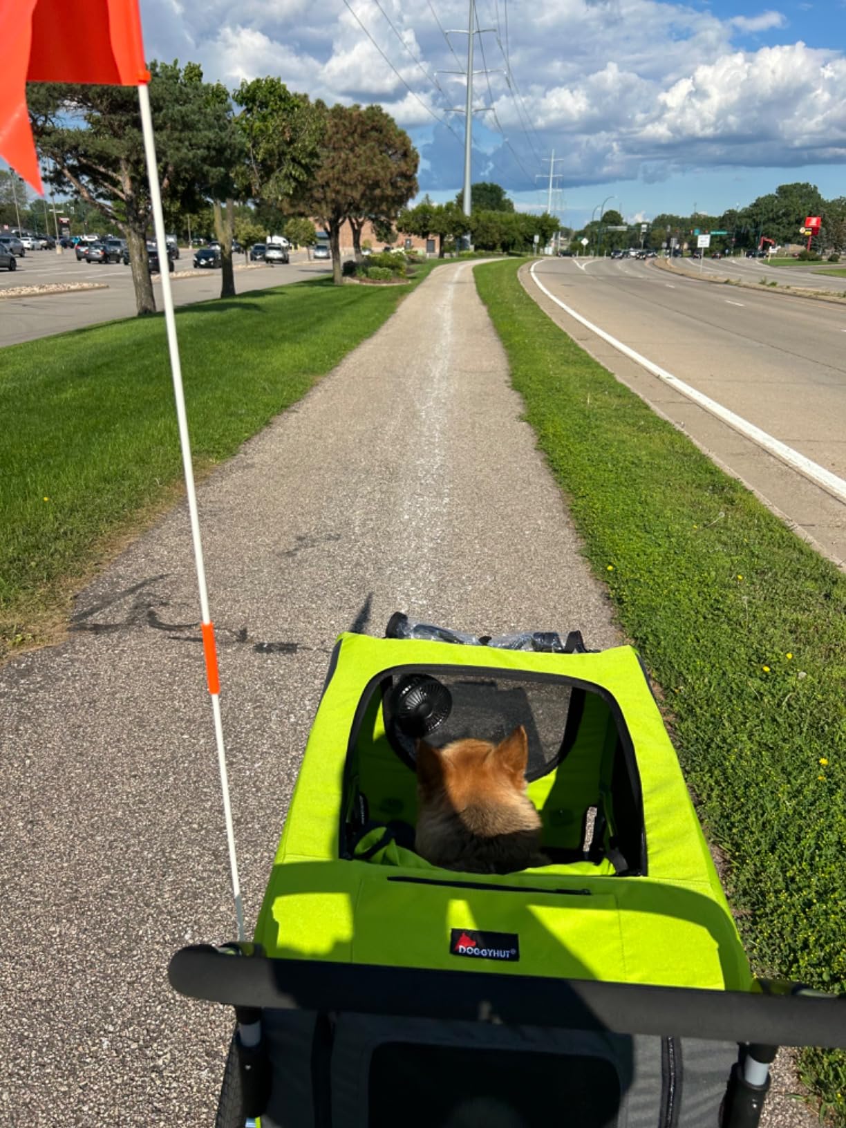 DOGGYHUT® Premium X Large Pet Bike Trailer & Stroller Up to 100 lbs (Blue) customer photo 2