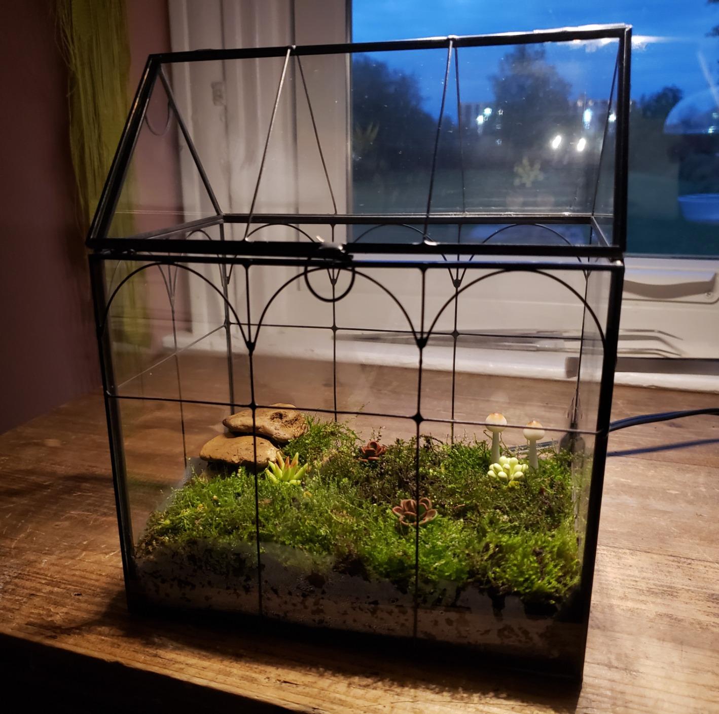 ELEGANTLIFE Glass Geometric Plant Terrarium,Succulent & Air Planter for Home Garden Office Decoration,No Plants(Black Hexagonal) customer photo 2