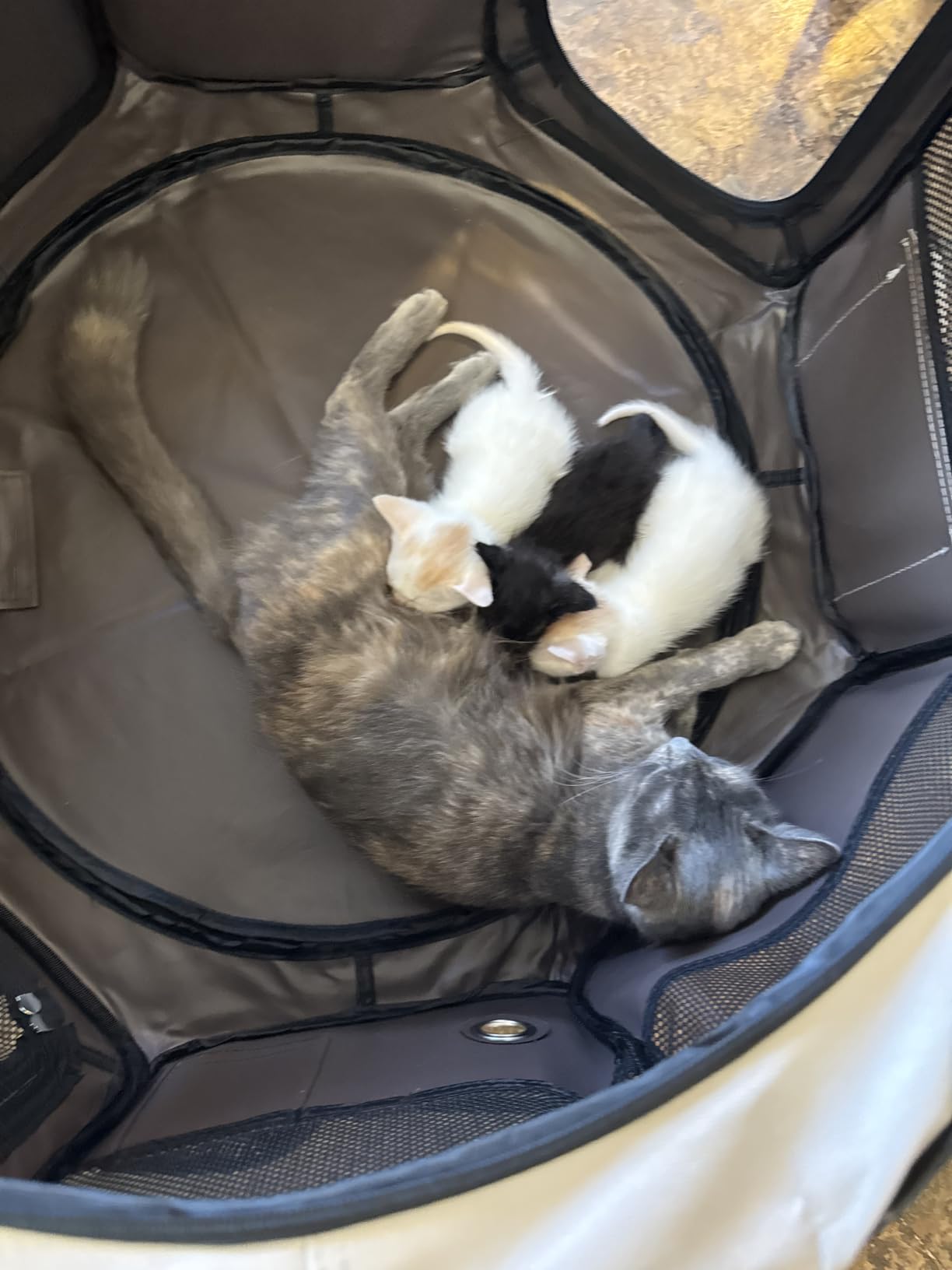 DONORO Dog Playpen 46