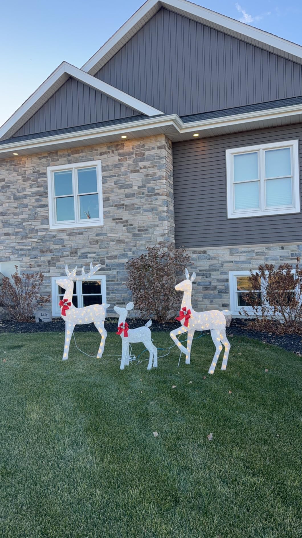 Best Choice Products 3-Piece Large Lighted Christmas Deer Family Set 5Ft Outdoor Yard Decoration with 360 LED Lights, Stakes, Zip Ties - White customer photo 1